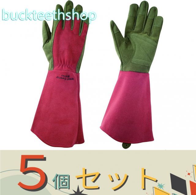 【園芸・農業用品】※５個セット※（株）東和コーポ　ウェストカウンティーローズ　ルビー　Ｍ　（東和）