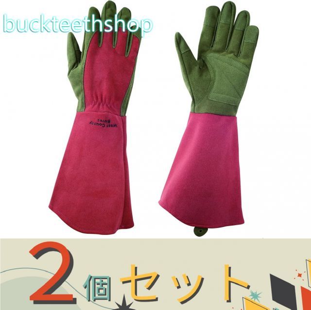 【園芸・農業用品】※２個セット※（株）東和コーポ　ウェストカウンティーローズ　ルビー　Ｓ　（東和）