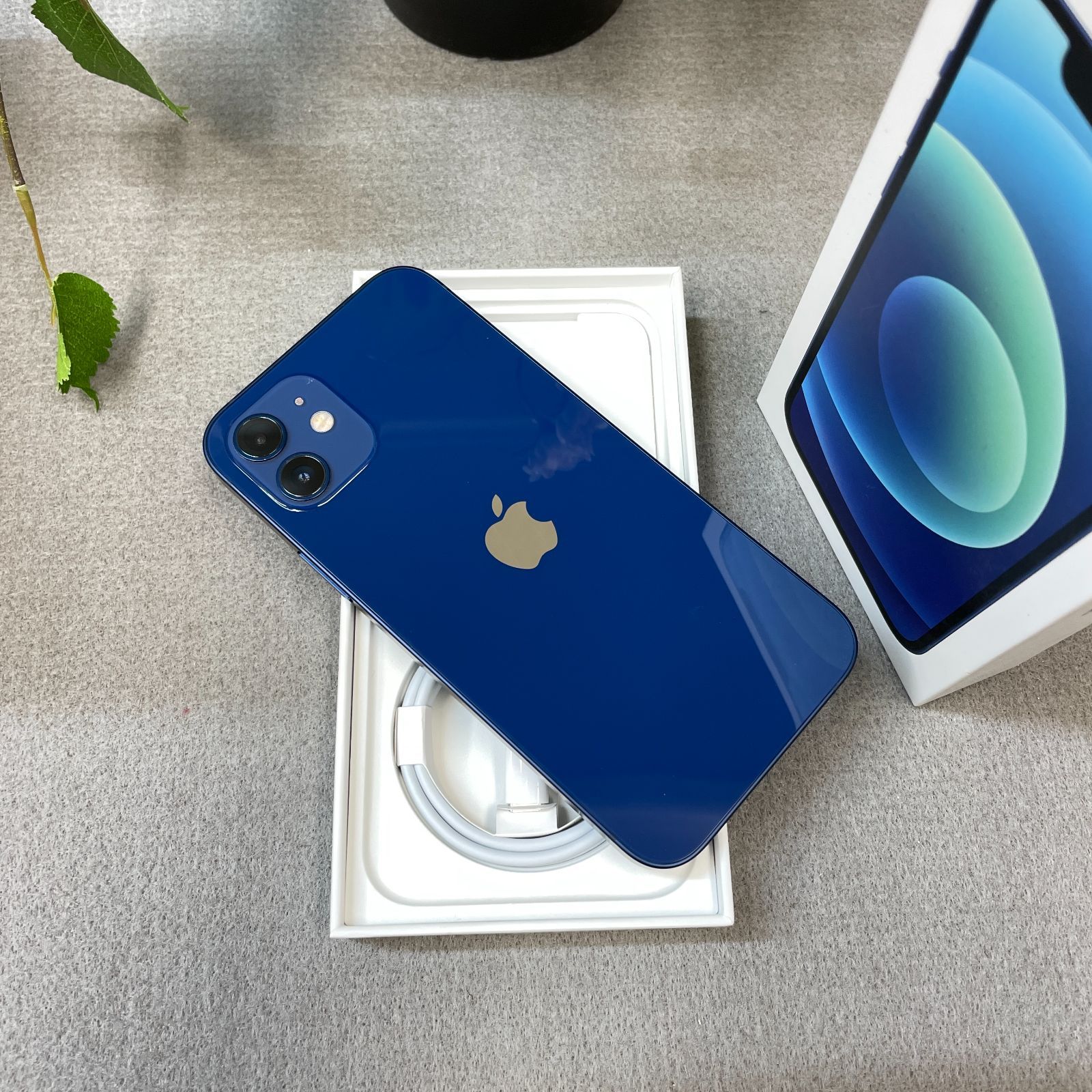 SIMフリー 本体 iPhone 12 mini 128 GB ブルー 549 iPhone 12 mini ブルー 128 GB SIMフリー 【公式通販】