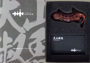 中古】フィギュア オオサンショウウオ ポリストーン製塗装済完成品