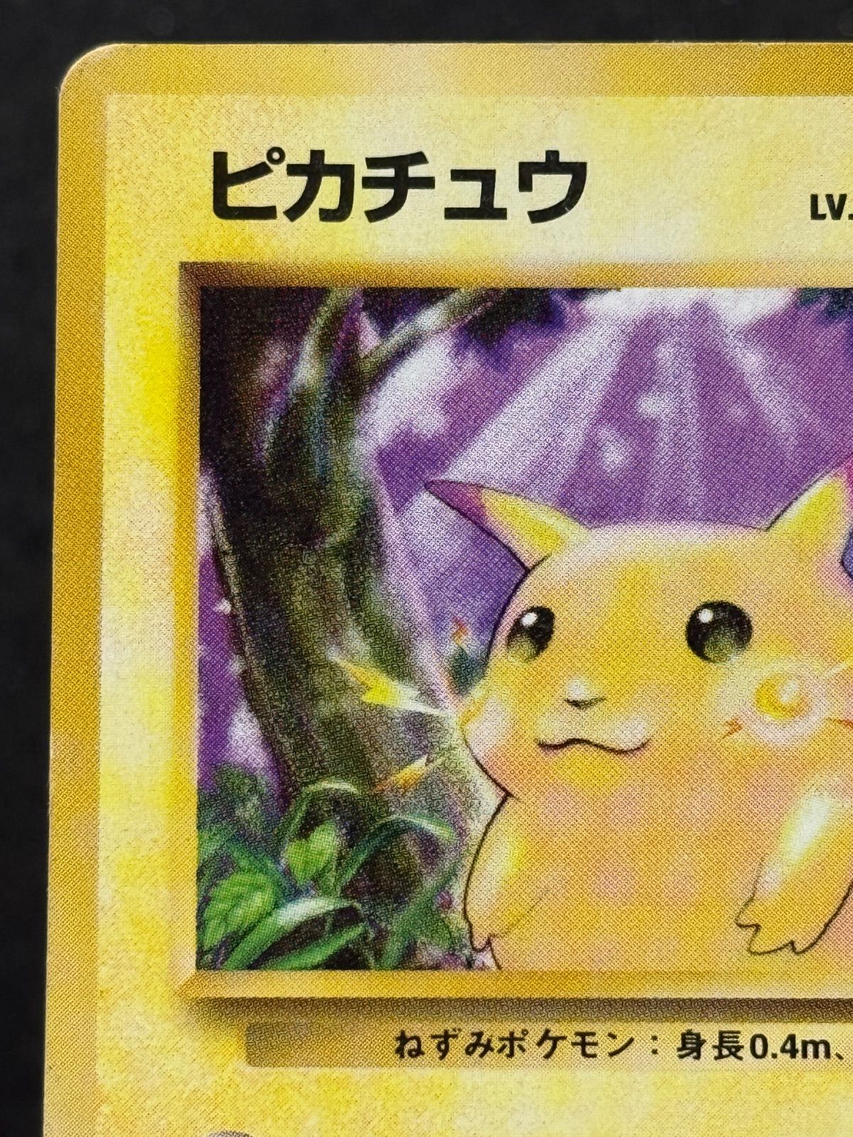 旧裏】ピカチュウ LV.12 ○ No.025 ポケモンカード【送料無料】 - メルカリ