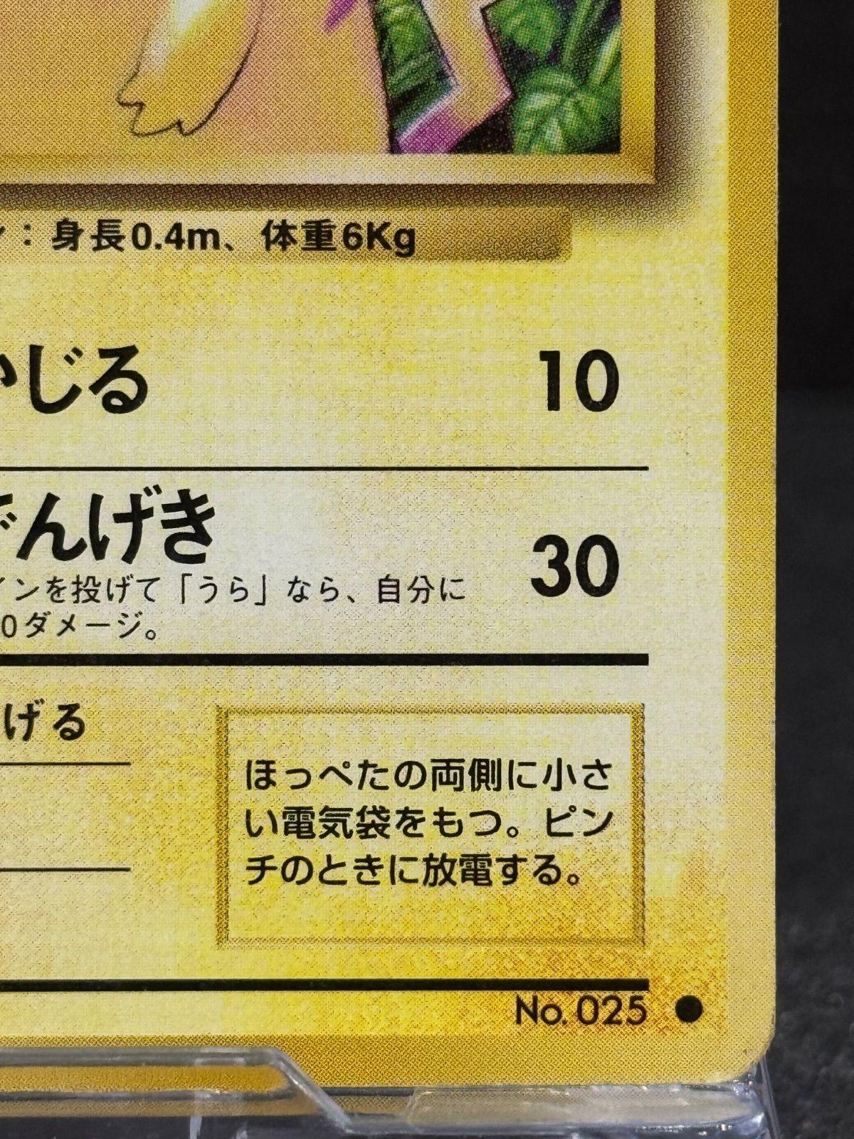 旧裏】ピカチュウ LV.12 ○ No.025 ポケモンカード【送料無料】 - メルカリ