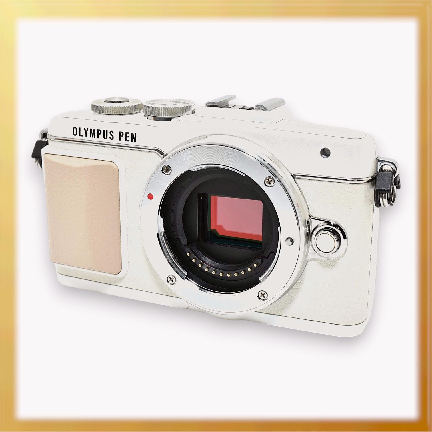 極美品｜OLYMPUS PEN Lite E-PL7 ミラーレス一眼 ボディ ホワイト 