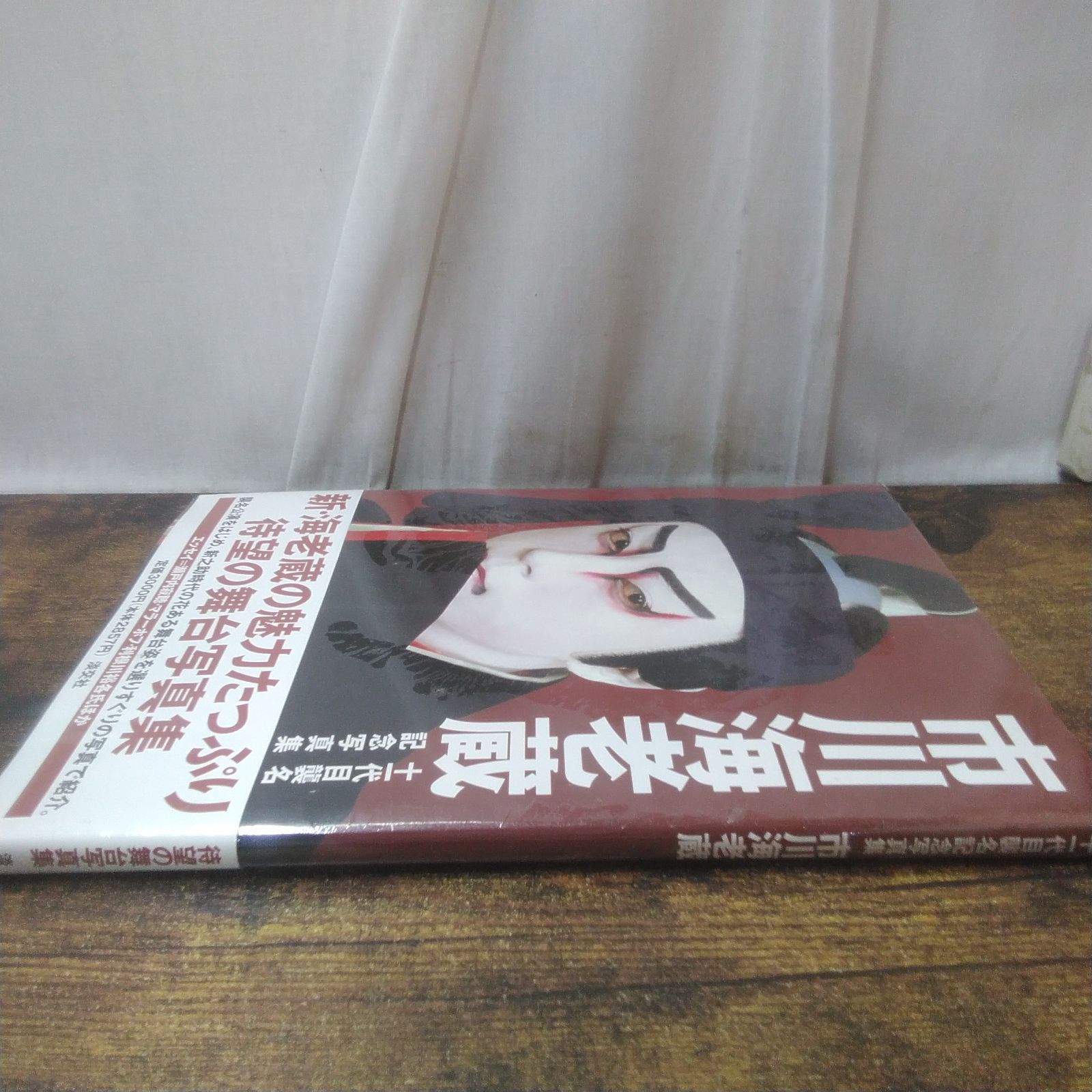 淡交社 写真集 市川海老蔵 十一代目襲名記念写真集 未開封品 帯あり 