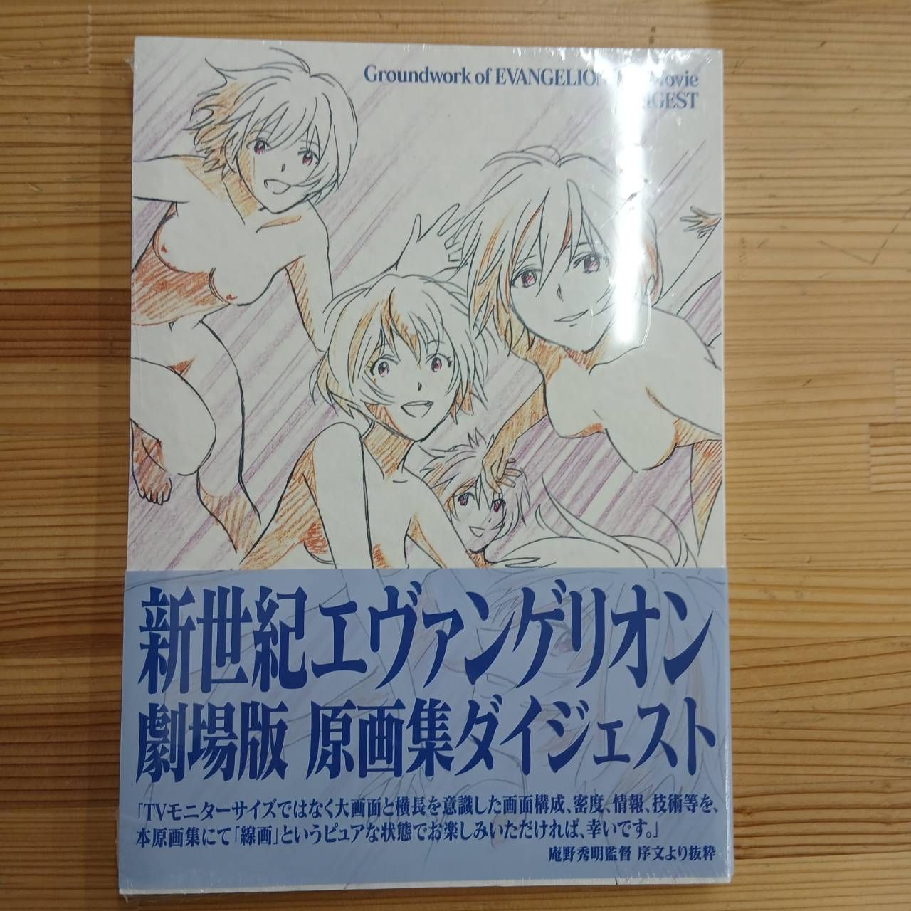 イラスト集】新世紀エヴァンゲリオン劇場版原画集ダイジェスト - メルカリ