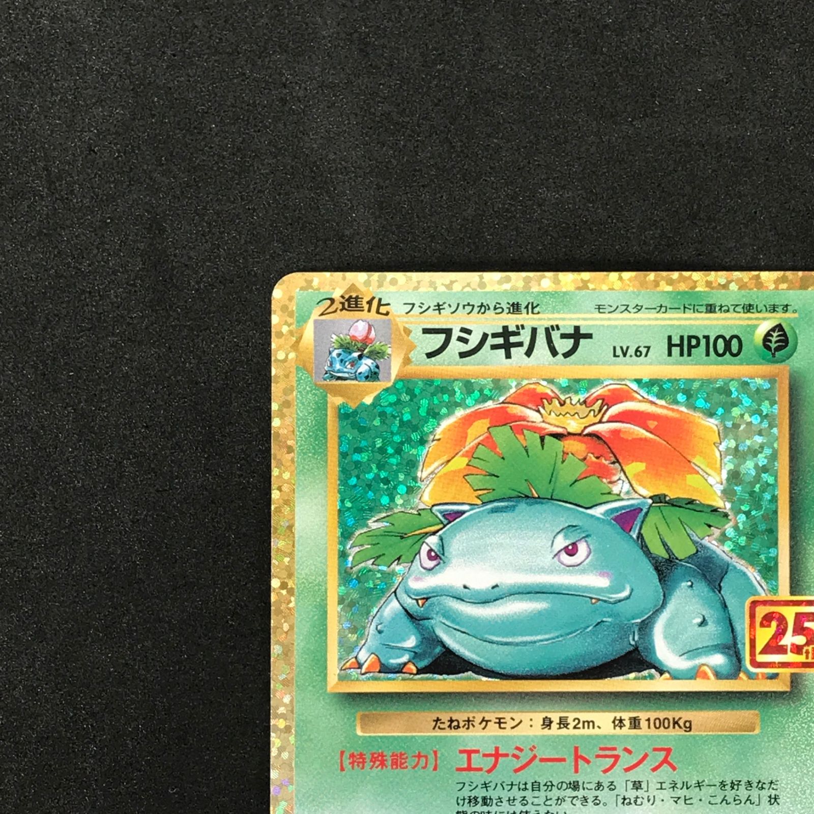 ☆ポケモンカードゲーム プロモカードパック 25th ANNIVERSARY edition