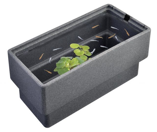 【送料無料】GEX メダカ元気 快適繁殖ケース L 水容量約25L 約W60×D30×H30cm