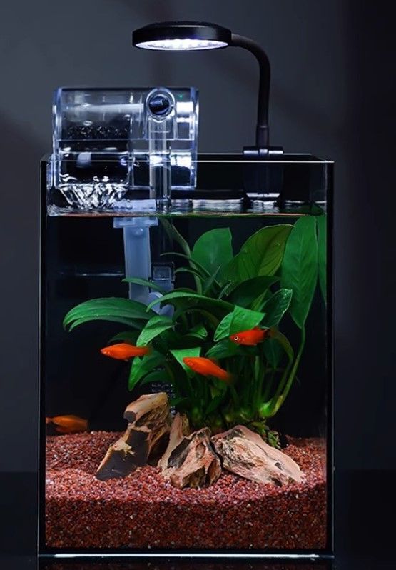 水槽 40CM W40×D24×H25厚み5mm 水槽 40CM 35CM セット厚み5mm 配