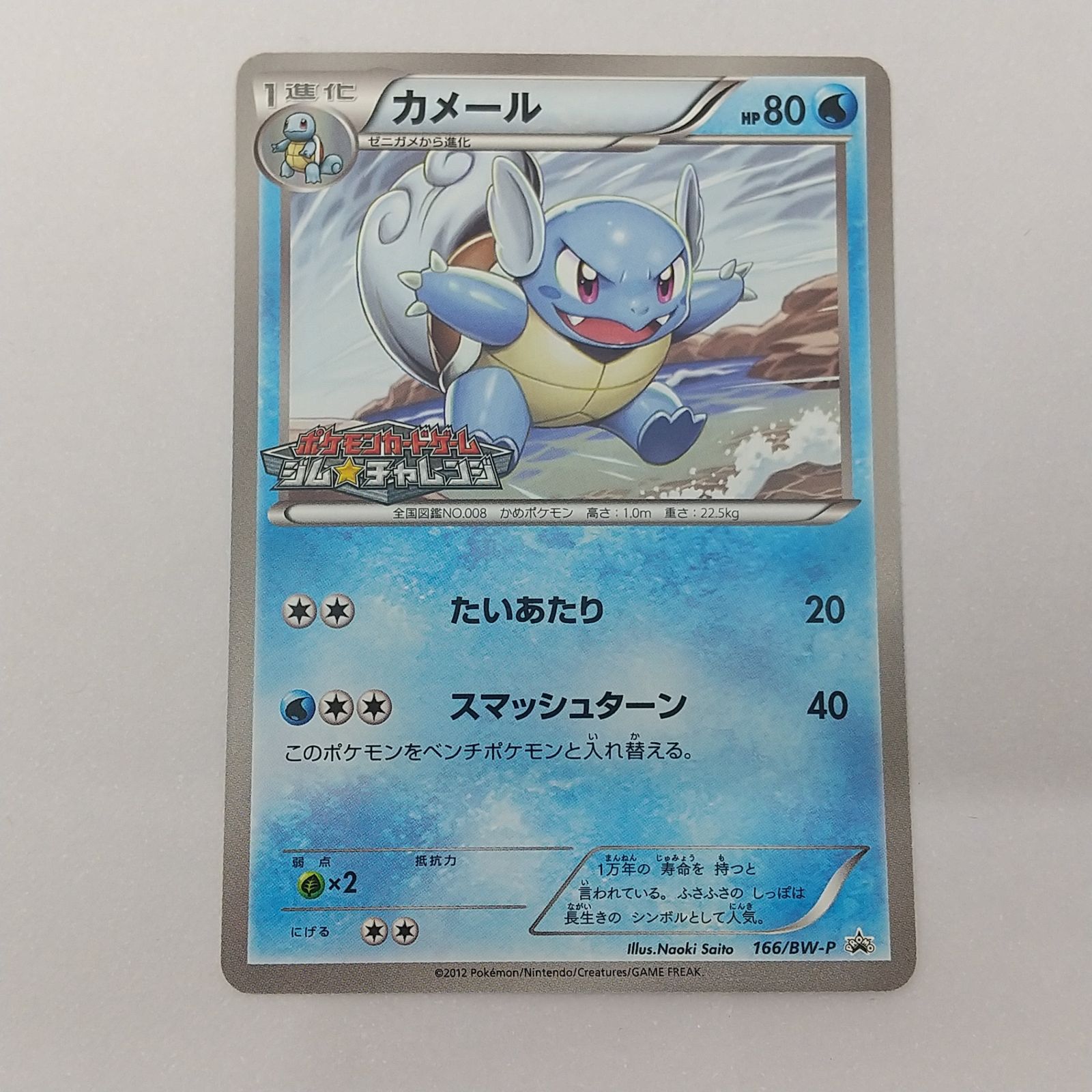 カメール　BW ジムチャレンジ　プロモ　ポケモンカード　166／BW-P ポケカ カメール プロモ[P] 166/BW-P ポケモンカード トレカ