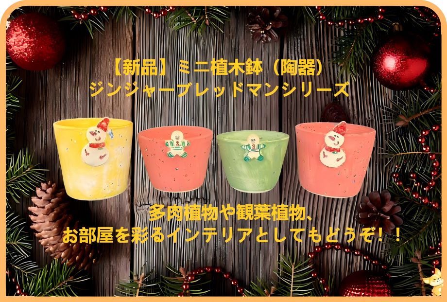 メルカリ祭限定価格⭐︎無言購入NG！KARE☆クッション☆モダン
