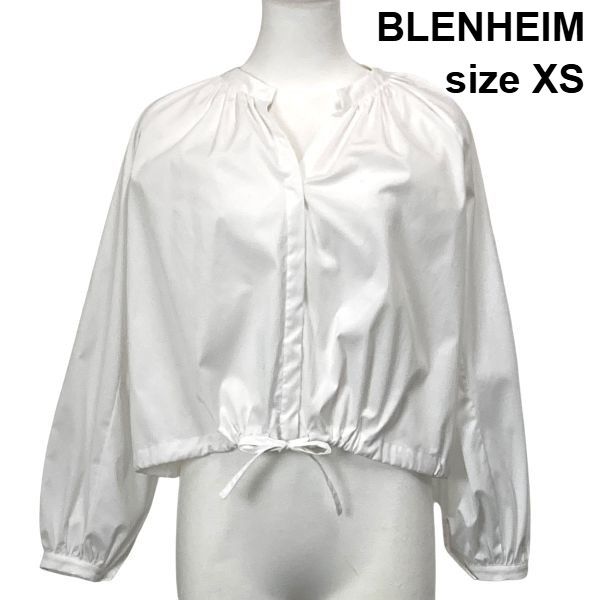 ◇ ブレンヘイム BLENHEIM ボリュームスリーブ Vネックブラウス 長袖 