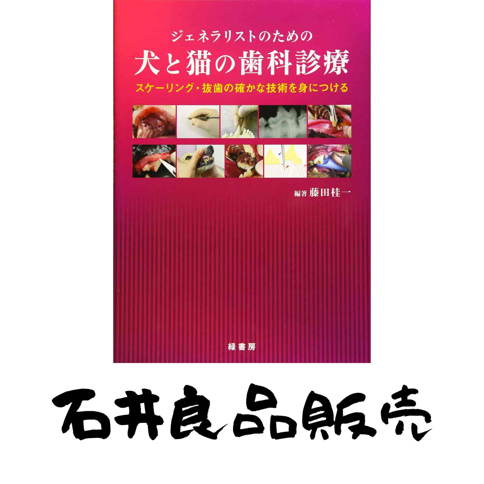 【中古】 ジェネラリストのための犬と猫の歯科診療 スケーリング・抜歯の確かな技術を身につける ジェネラリストのための犬と猫の歯科診療 スケーリング・抜歯の スケーリング ヨドバシ.com 新作入荷 「ジェネラリストのための犬と猫の歯科 【中古】 ジェネラリストのための犬と猫の歯科診療 スケーリング・抜歯の確かな技術を身につける ジェネラリストのための犬と猫の歯科診療 スケーリング・抜歯の スケーリング ヨドバシ.com 新作入荷 「ジェネラリストのための犬と猫の歯科