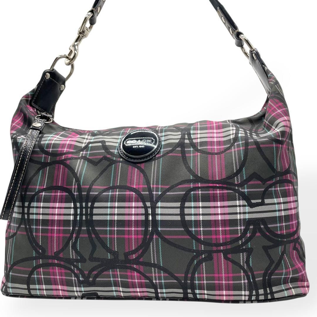 極美品 COACH コーチ ショルダーバッグ シグネチャー マルチカラー 