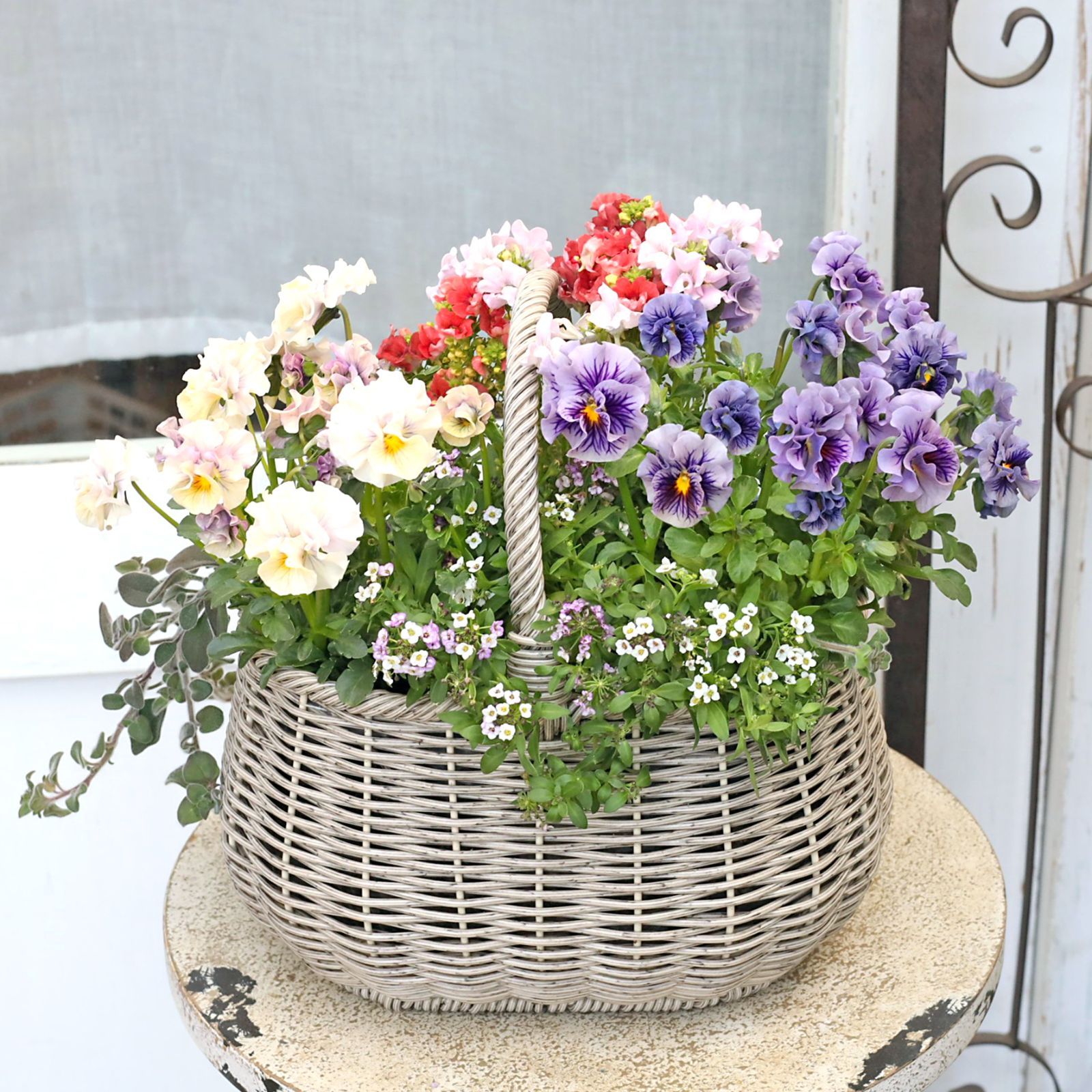 値下げセール 現品販売 季節の花寄せ植え ブルー＆ピンク ナチュラルバスケットgray おしゃれ アンティーク プレゼント ギフト