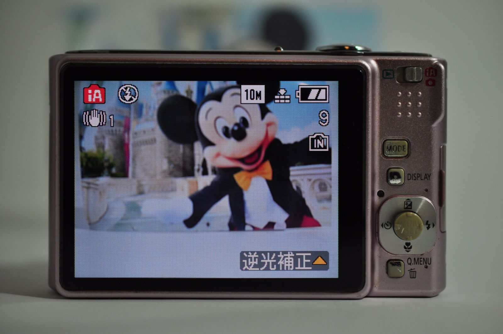 Panasonic LUMIX DMC-FS20 DIGITAL Camera ピンク デジカメ デジタル
