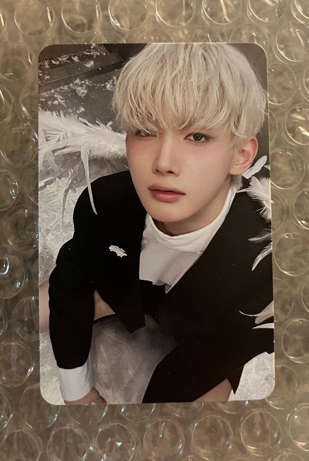 2025，豊富な u0026TEAM ジョウ Back to Life Photocard Box Weverse