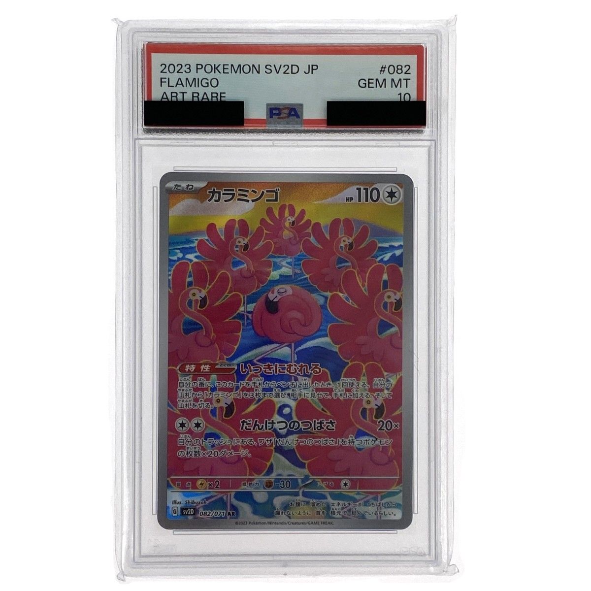 カラミンゴ AR PSA10 ポケモンカード 【公式通販】