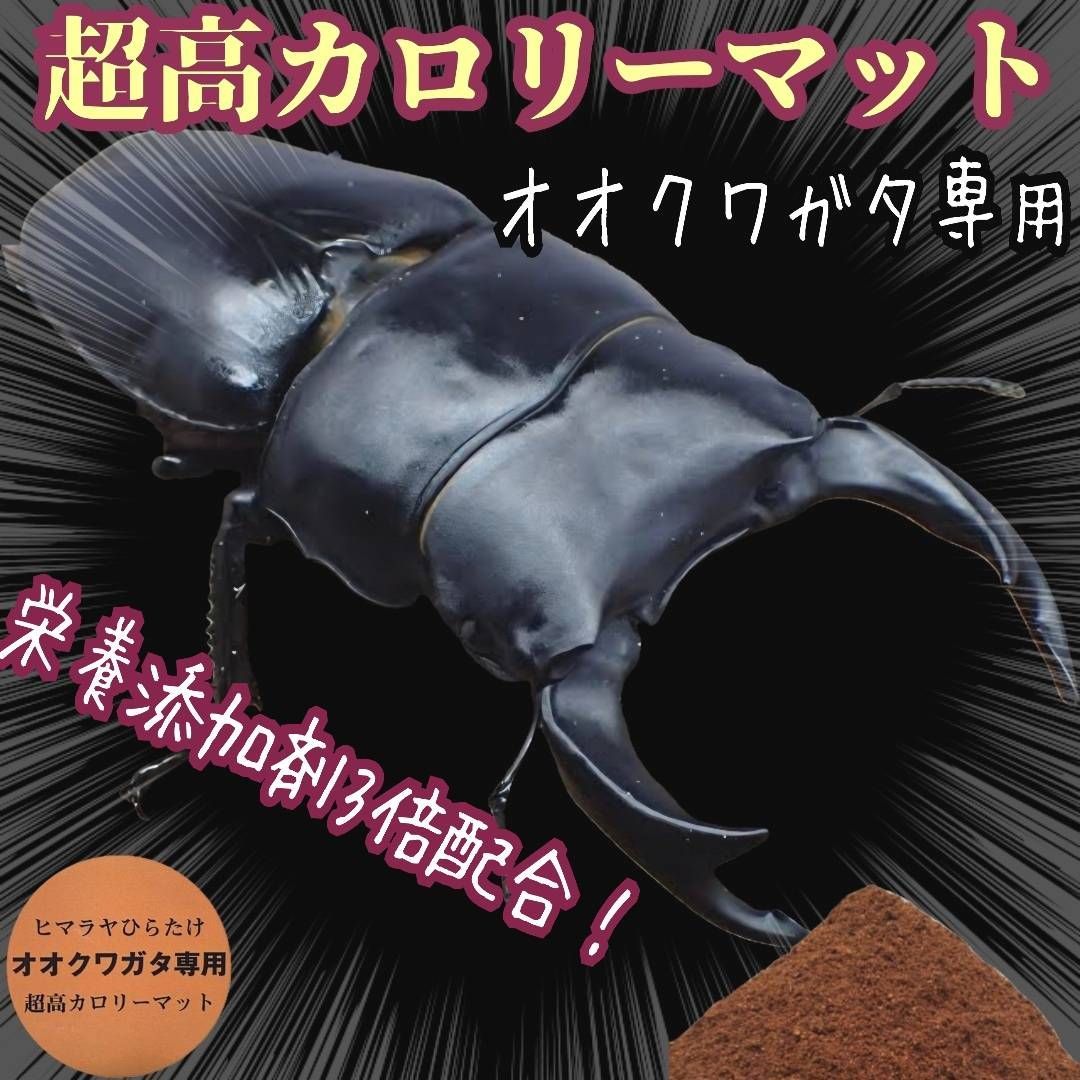 オオクワガタ専用超高カロリーマット【30リットル】クヌギの生オガ特殊発酵　１５種類の栄養添加剤配合　瓶に詰めるだけ！初令から羽化までいけます！フタマタ系にもお薦め！雑虫が湧きません！