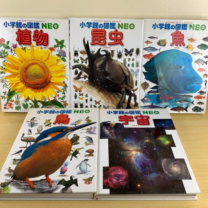 16冊セット】 小学館の図鑑NEO 学習図鑑 児童書 まとめ売り たくの出品