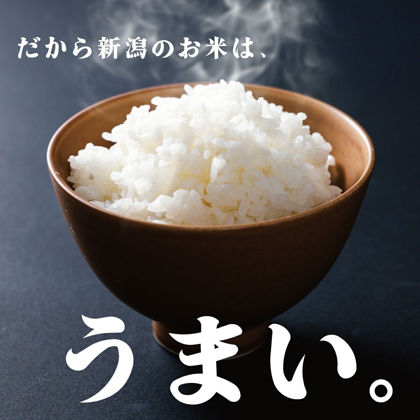 送料無料】【無洗米】特別栽培米コシヒカリ10kg 【公式通販】