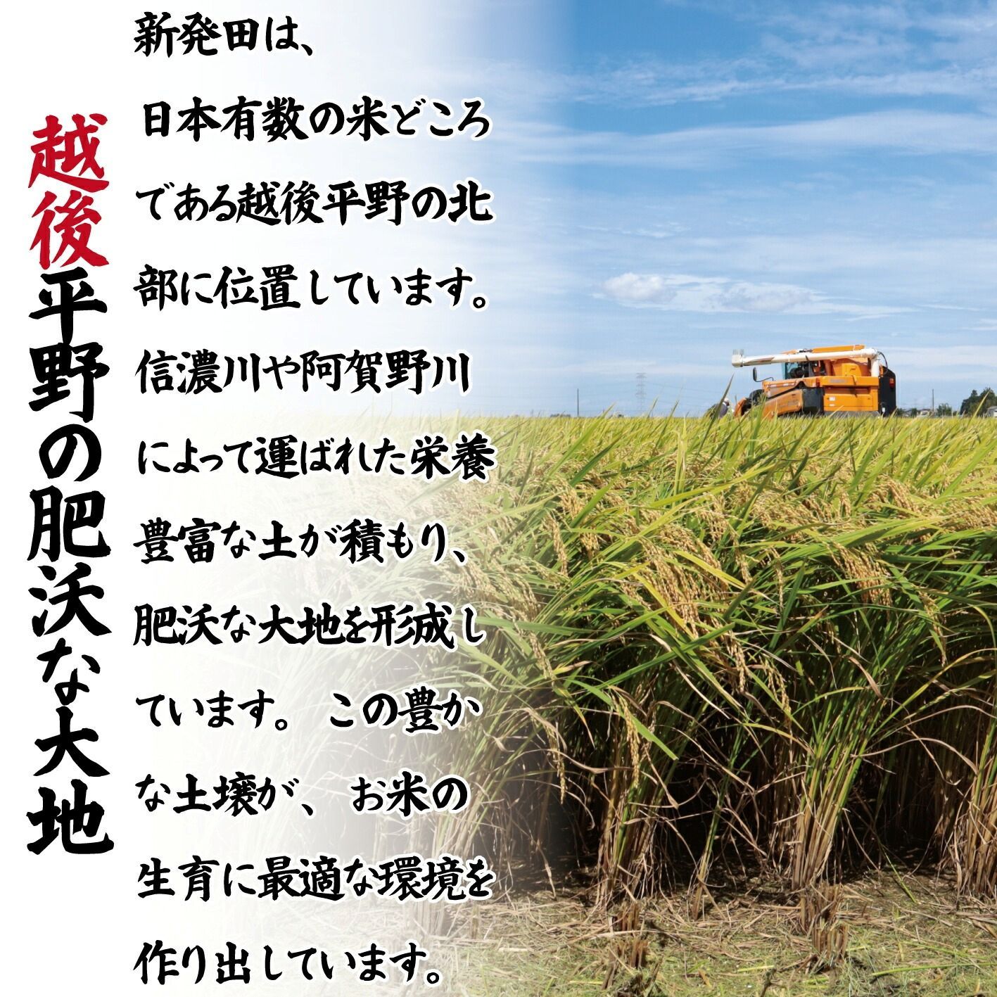 送料無料】【無洗米】特別栽培米コシヒカリ10kg 【公式通販】
