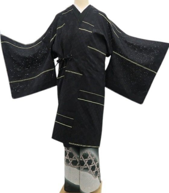 ❁tomihisa❁新品 紋紗 想屋 夏着物 正絹“大人顔で振り返る夢見 ❁tomihisa❁新品 紋紗 想屋 夏着物 正絹“大人顔で振り返る夢見