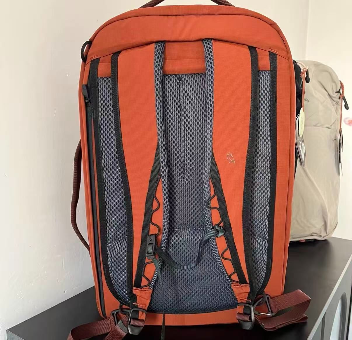 新作 Bellroy（ベルロイ）Lite Travel Pack 30L ライトトラベルパック 