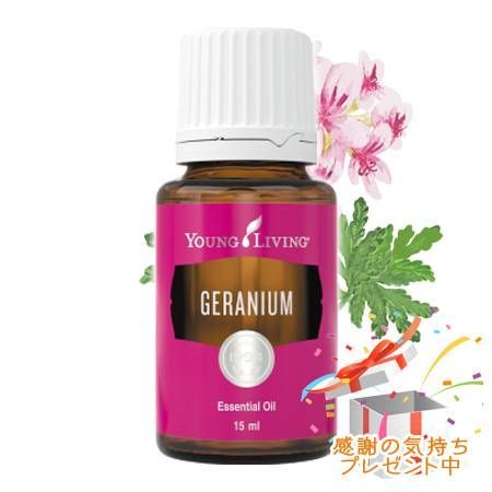 YOUNG LIVING ヤング・リビング シングルエッセンシャルオイル