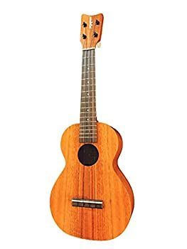 【中古-非常に良い】【KAMAKA】HF-2 カマカ コンサート ウクレレ(ハワイアンコア材単板 ハワイ産 ハードケース付)