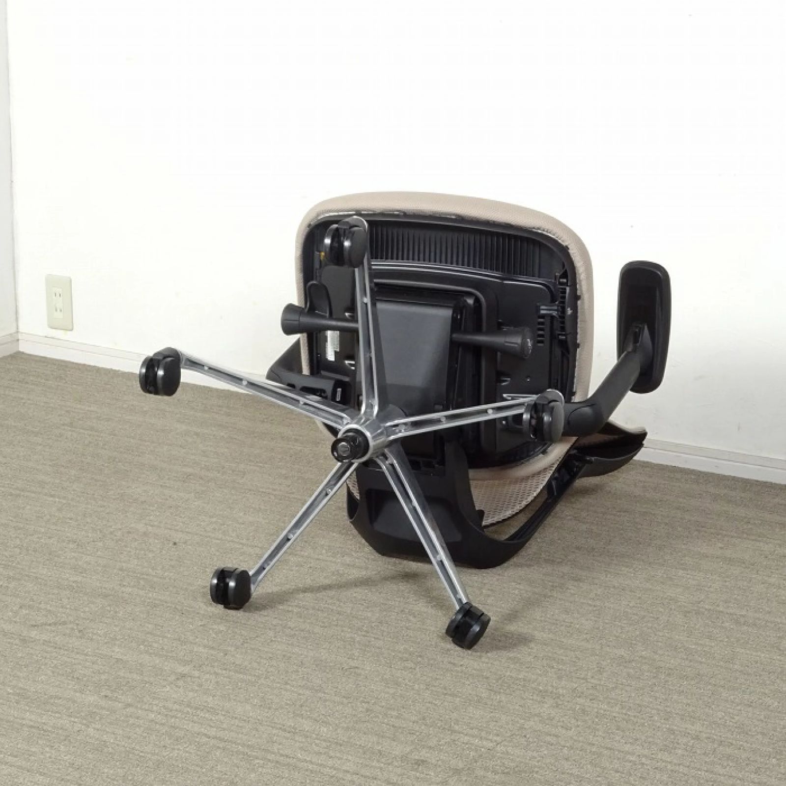 ◾︎SELUNO◾︎ 展示