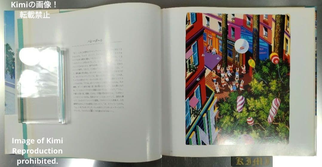 色彩の詩人ヒロ・ヤマガタの世界 初版 第1刷発行 大型本 1988 山形
