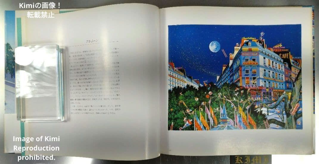 色彩の詩人ヒロ・ヤマガタの世界 初版 第1刷発行 大型本 1988 山形