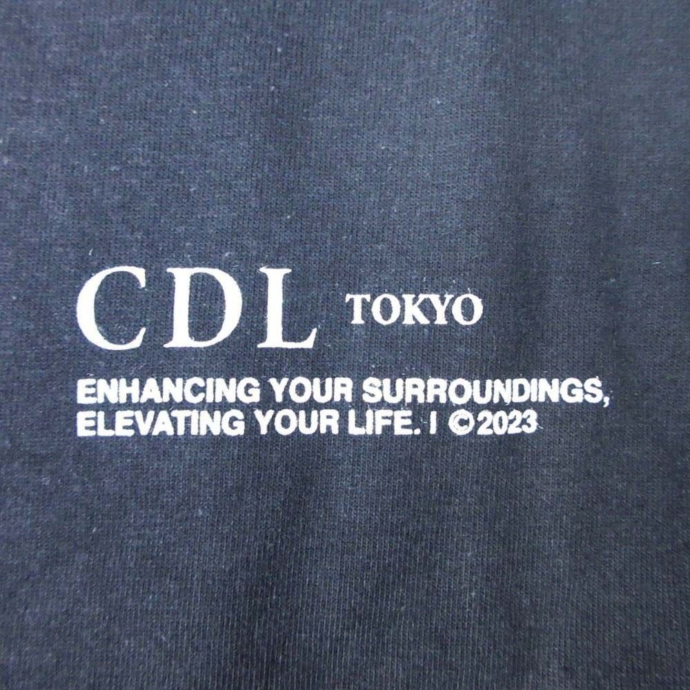 美品 2023年 CDL TOKYO シーディーエル SHEA BUTTER LOGO ロゴプリント Tシャツ カットソー トップス 半袖 L チャコール メンズ レディース 古着 中古 USED 美品 2023年 CDL TOKYO シーディーエル SHEA BUTTER LOGO ロゴプリント