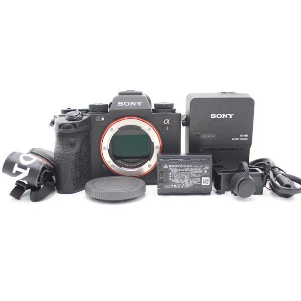 ショット数15541！□美品□ SONY ソニー フルサイズミラーレスカメラ