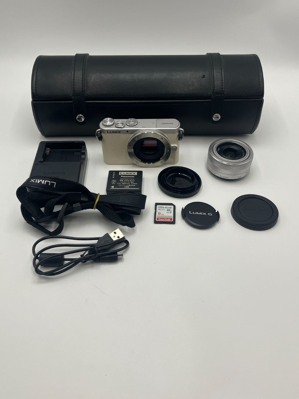 動作確認済】Panasonic LUMIX DMC-GM1 標準ズームレンズキット 12-32mm 