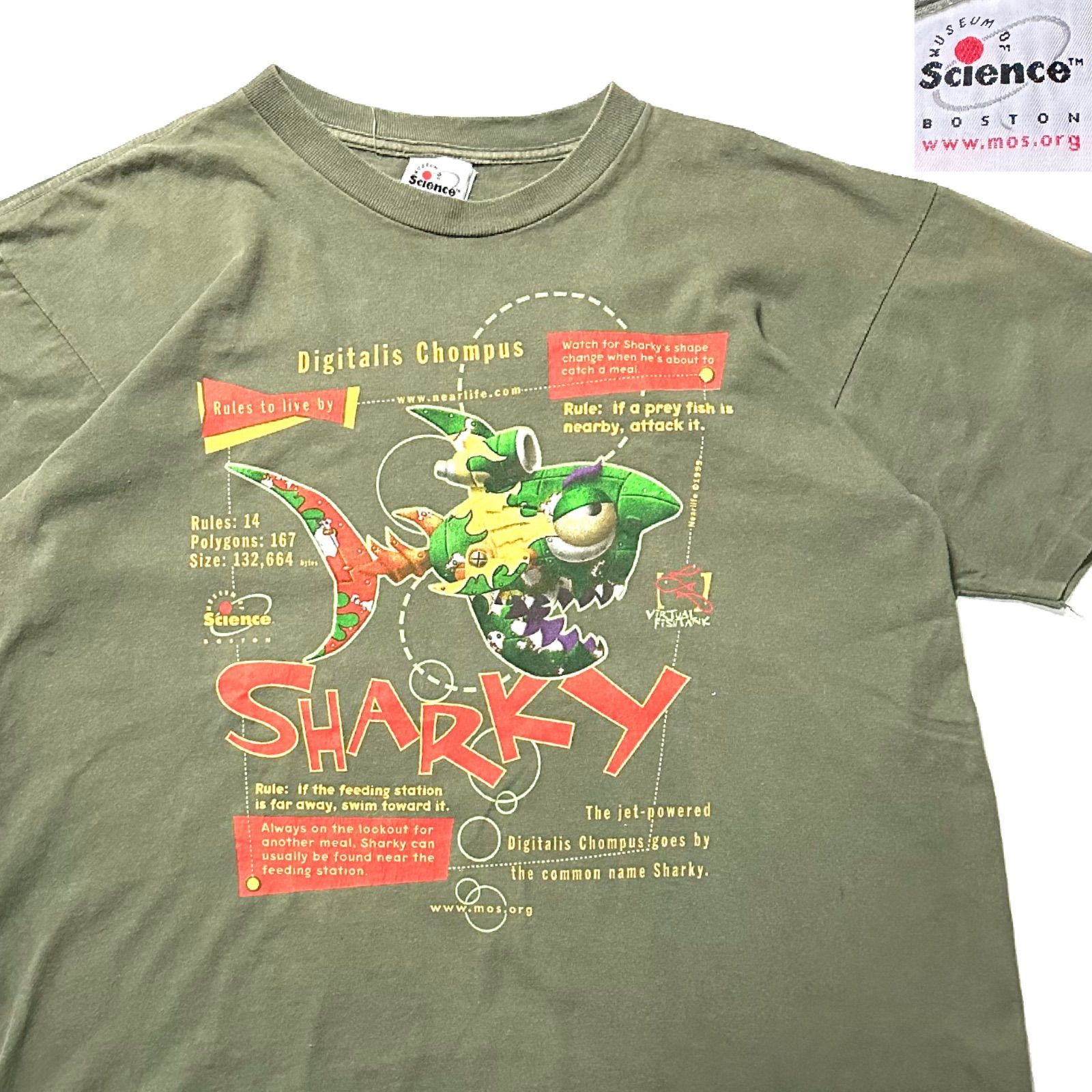 90s】【ボストン科学博物館】サメ プリント Tシャツ アート ビンテージ 