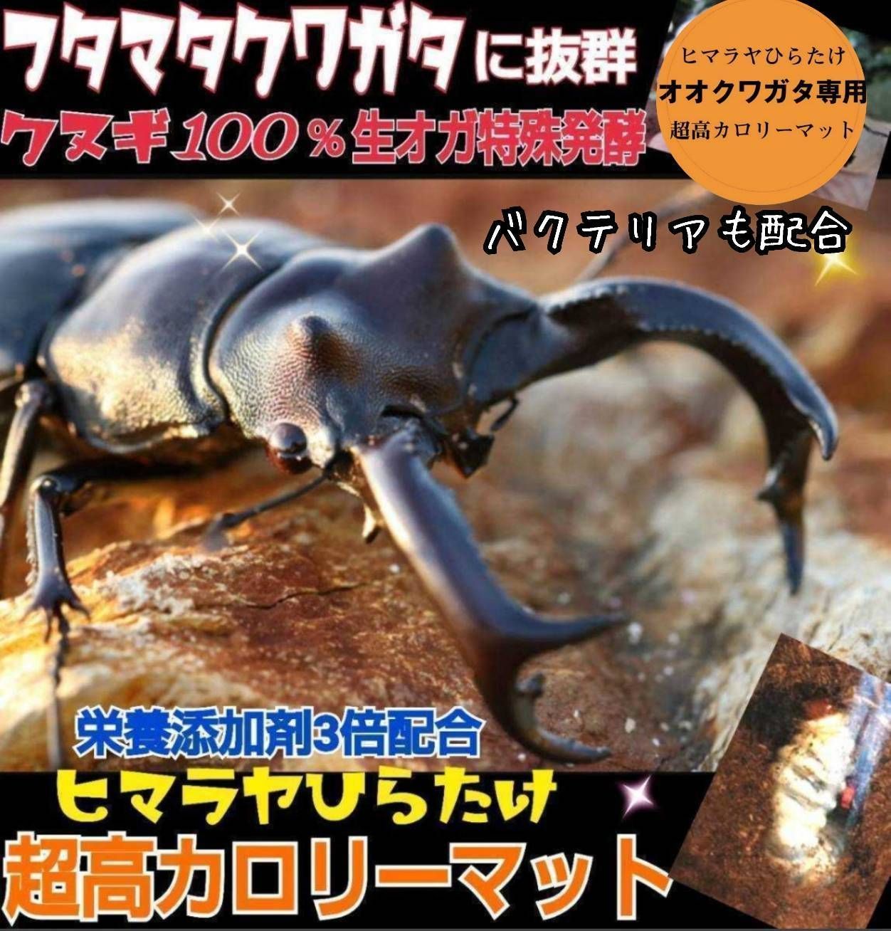 オオクワガタ専用☆超高カロリーマット 生オガを特殊発酵！共生