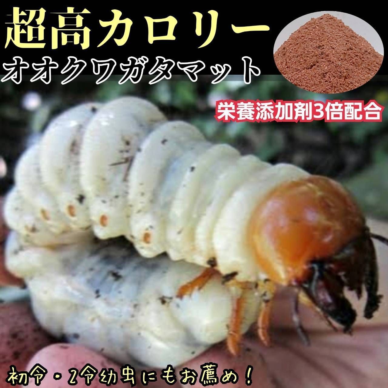オオクワガタ専用超高カロリーマット【40リットル】クヌギの生オガ特殊発酵　１５種類の栄養添加剤配合　瓶に詰めるだけ！初令から羽化までいけます！フタマタ系にもお薦め！雑虫が湧きません！