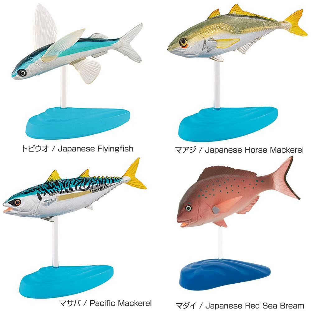 立体図鑑 動物 カロラータ 生物 ⁄ ソルトウォーターフィッシュ