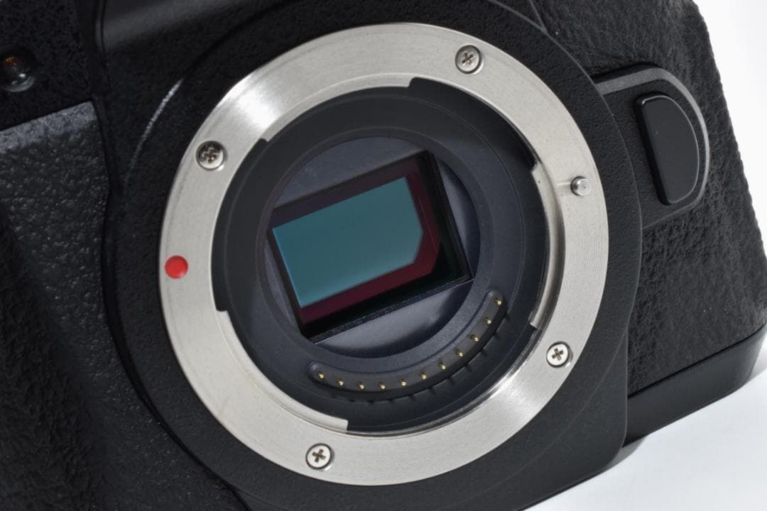☆極上品☆パナソニック LUMIX DC-G99D #1795 - メルカリ