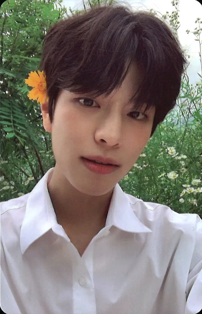 Seungmin – NOEASY core album photocard (Expansion) photocard