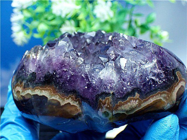 AAA級家庭円満◇天然アメジスト原石クラスターB89G3⁄145G22C 貝と