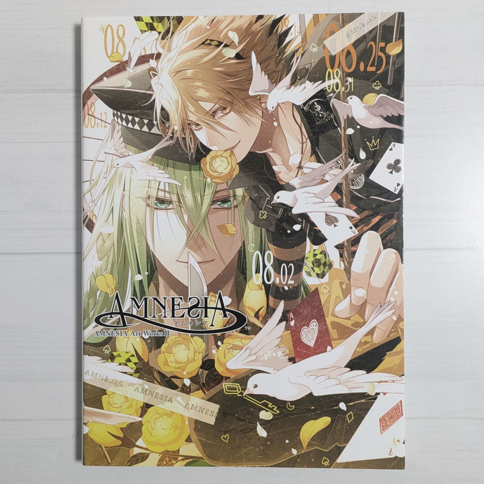 AMNESIA Art Works 3 / アムネシア アートワークス - メルカリ
