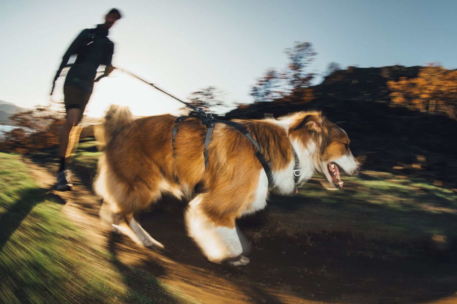 RUFFWEAR(ラフウェア)/リッジライン™ハーネス/オブシディアンブラック