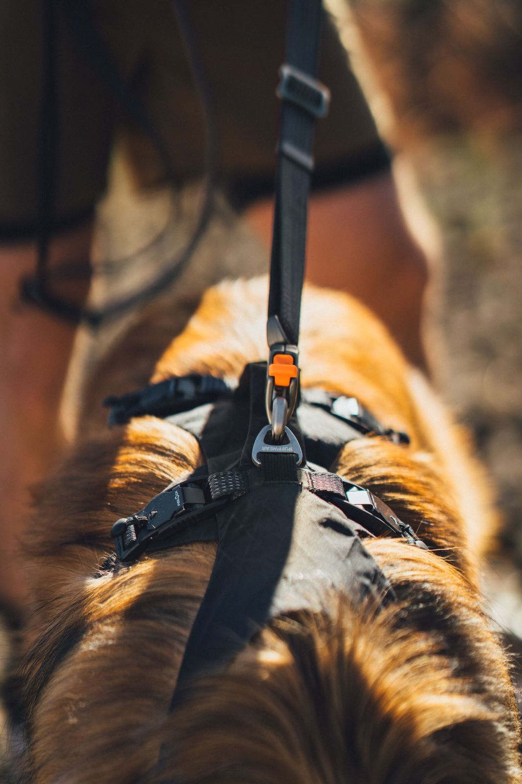 RUFFWEAR(ラフウェア)/リッジライン™ハーネス/オブシディアンブラック