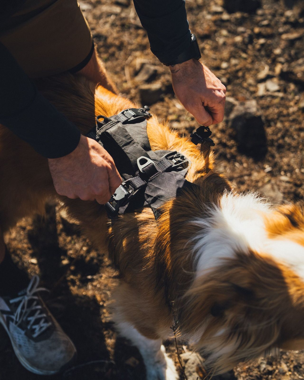 RUFFWEAR(ラフウェア)/リッジライン™ハーネス/オブシディアンブラック
