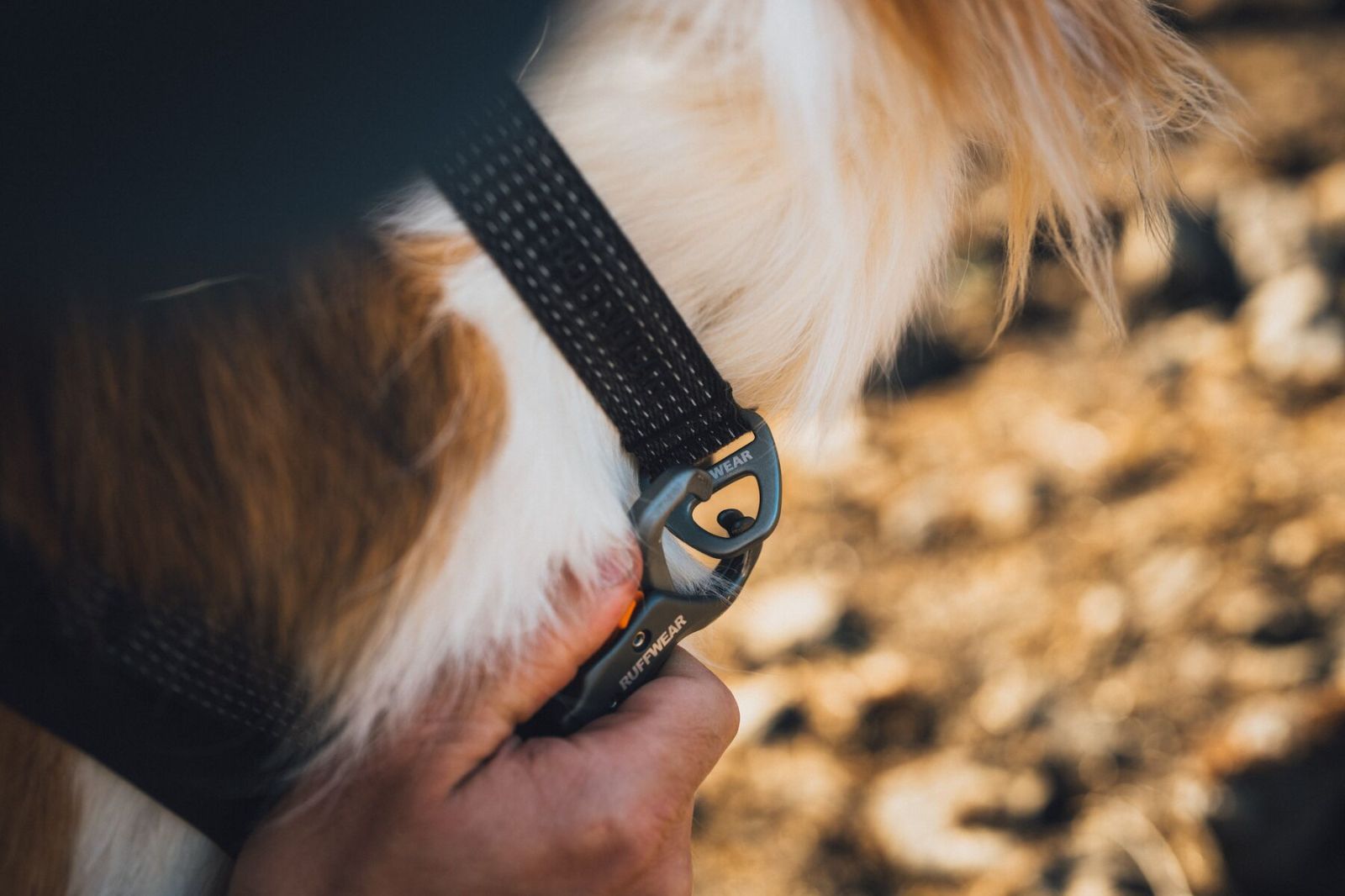 RUFFWEAR(ラフウェア)/リッジライン™ハーネス/オブシディアンブラック