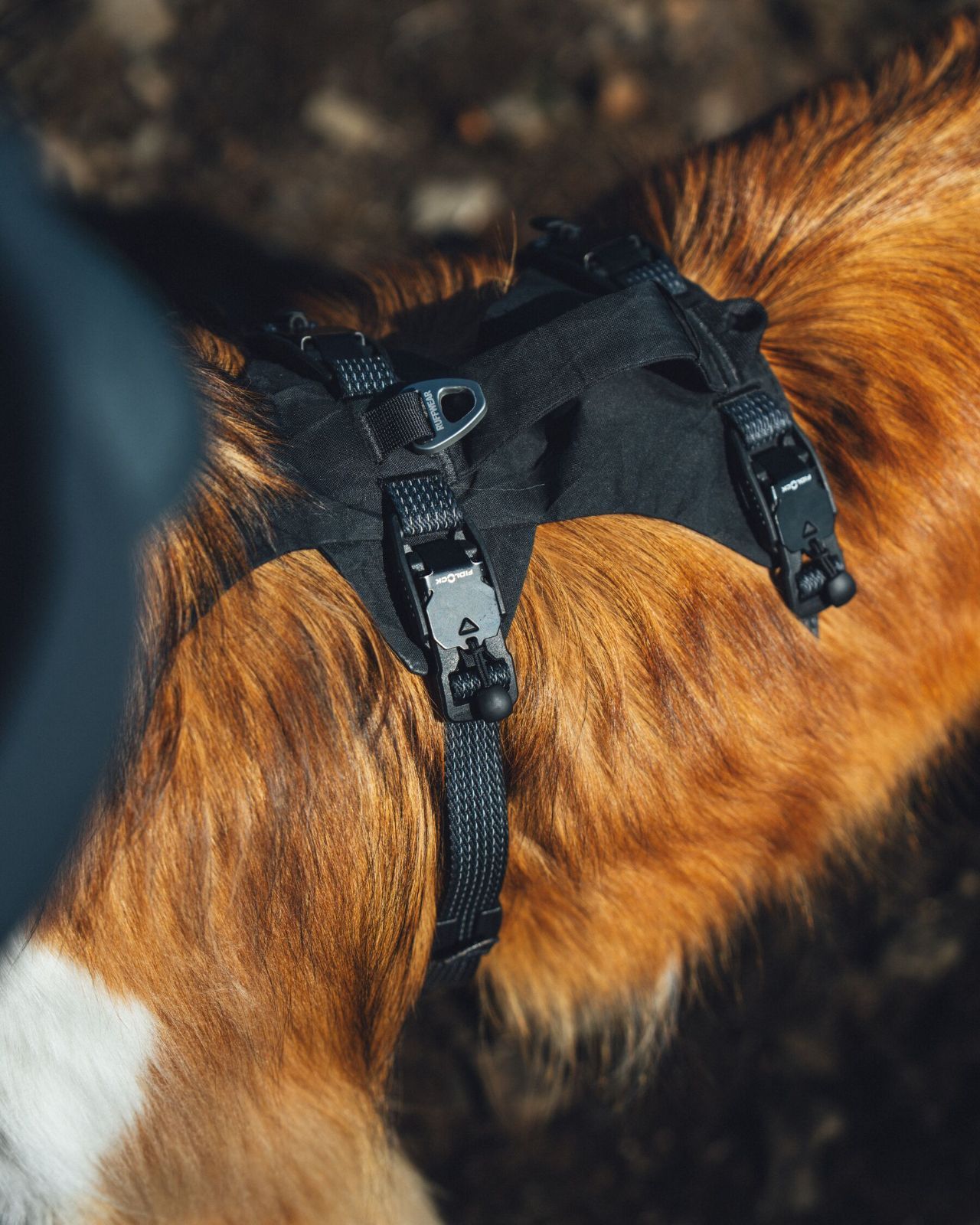 RUFFWEAR(ラフウェア)/リッジライン™ハーネス/オブシディアンブラック
