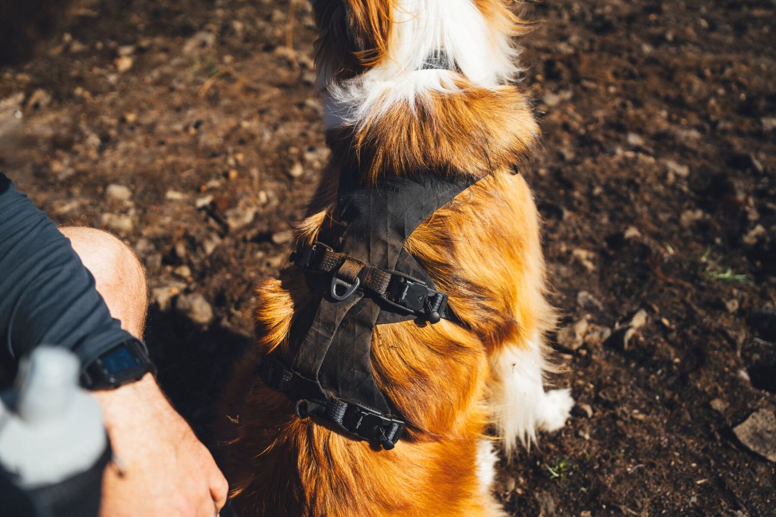 RUFFWEAR(ラフウェア)/リッジライン™ハーネス/オブシディアンブラック