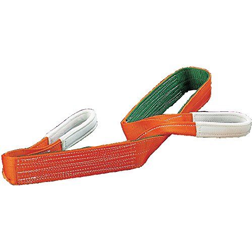 新品 TRUSCO(トラスコ) ベルトスリング JIS3等級 両端アイ形 100mmX5.0m G100-50